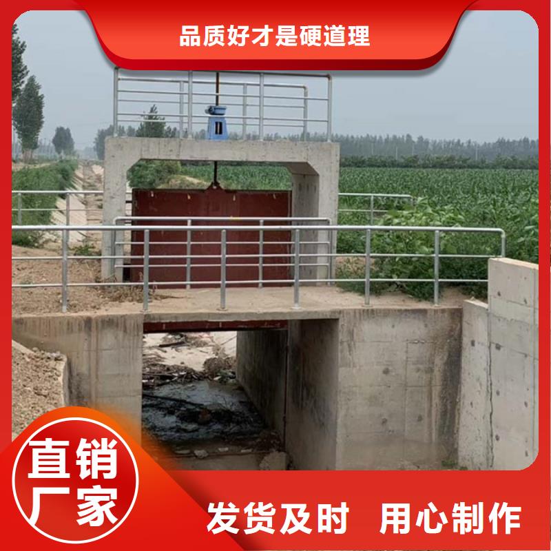 机门一体铸铁闸门厂价批发本地品牌