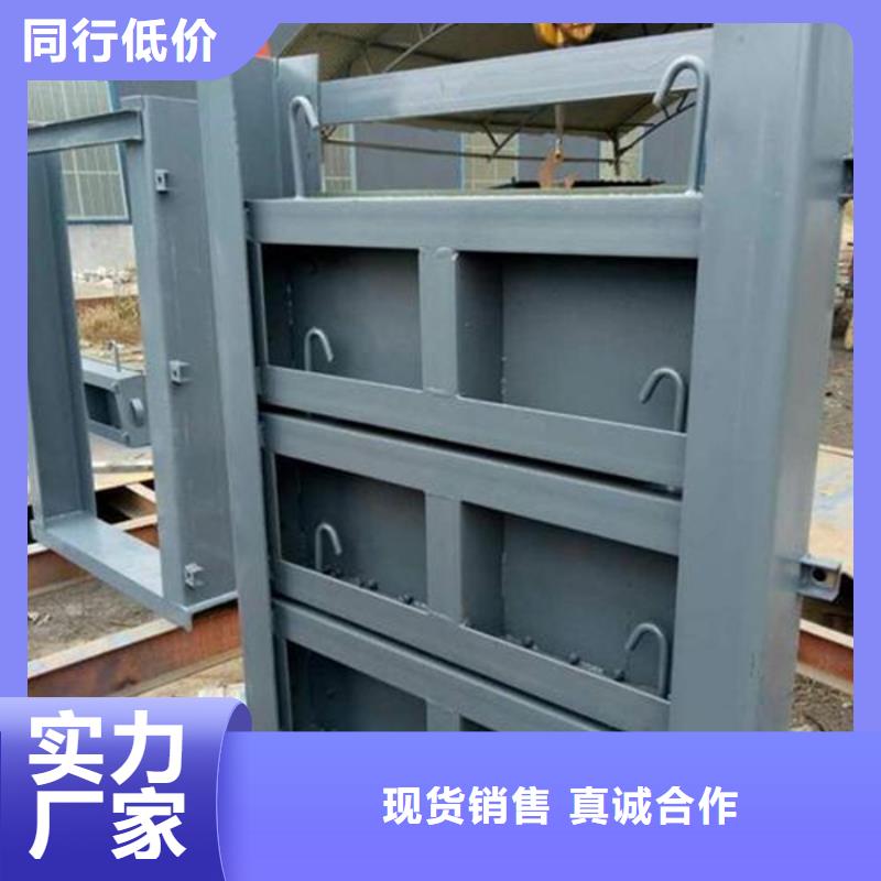 露顶钢制闸门合作共赢同城货源