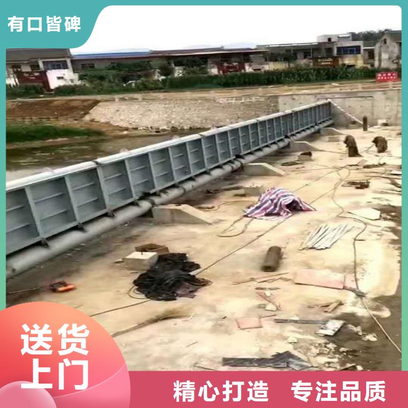 定轮钢制闸门产品种类本地货源