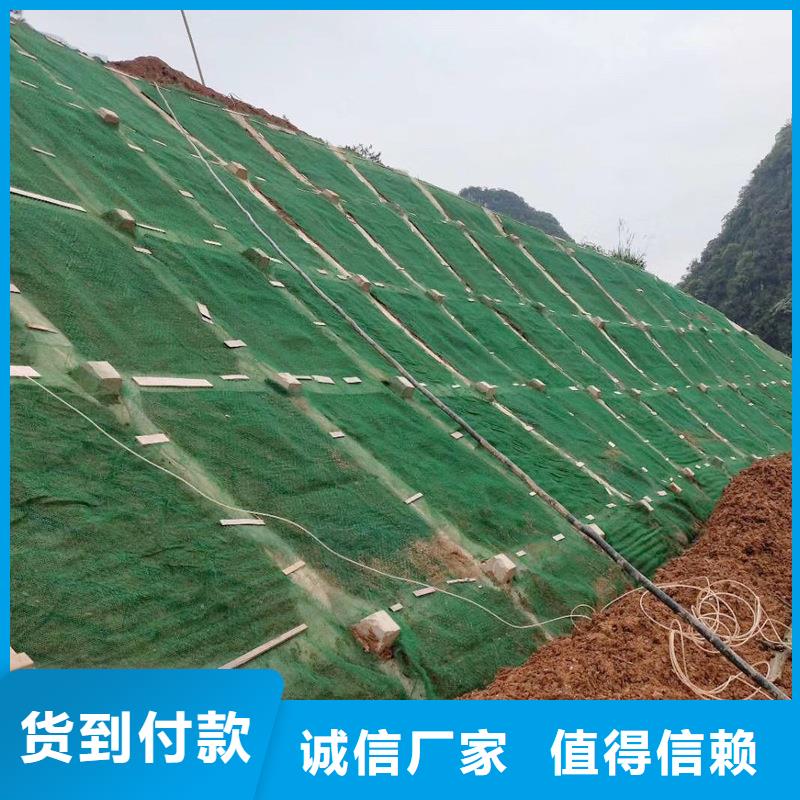 三维植被网,止水紫铜片定制零售批发支持货到付清