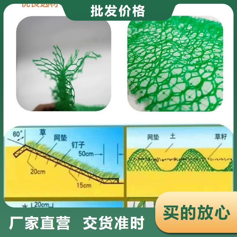 三维植被网【水平止水铜片】生产厂家大库存无缺货危机