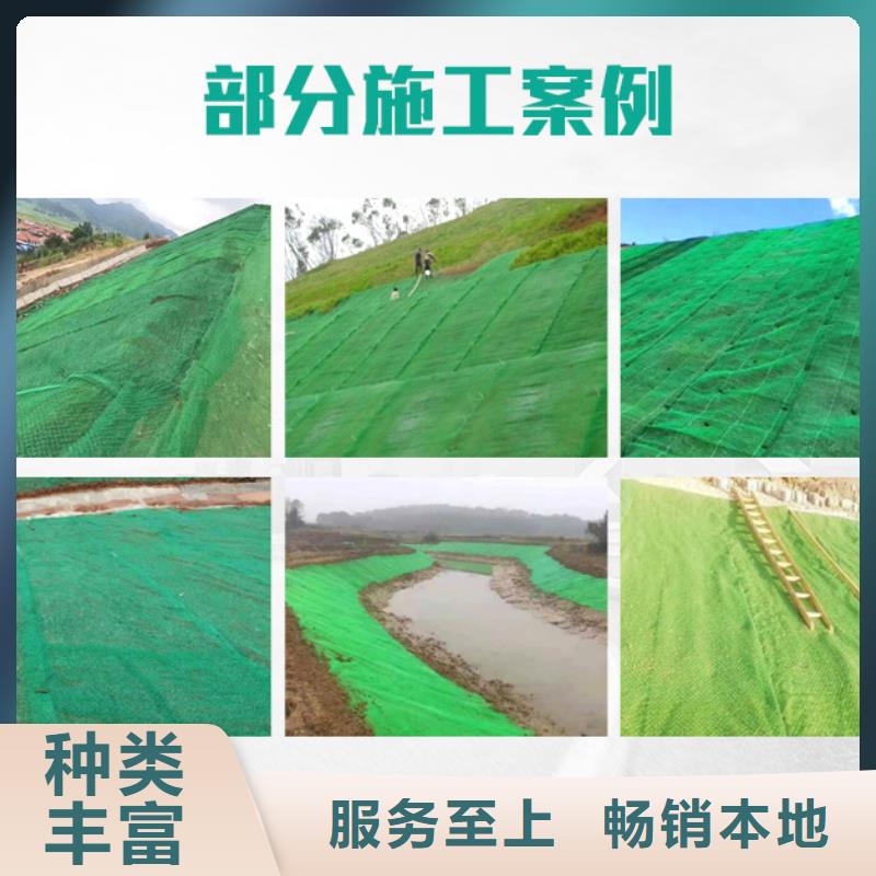 三维植被网铜止水产品优良本地供应商
