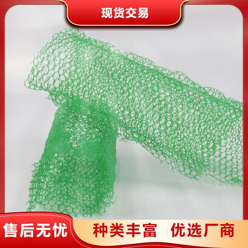 三维植被网聚丙烯纤维生产厂家优选厂商从厂家买售后有保障