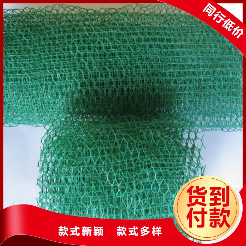 三维植被网【仿钢塑钢纤维】经验丰富质量放心买的放心安兴用的舒心