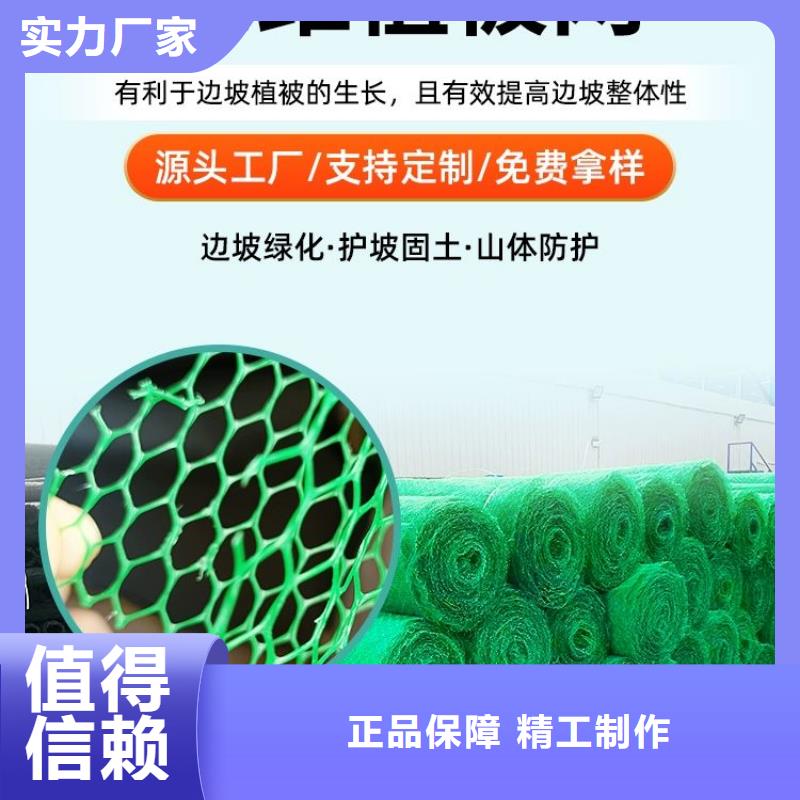 三维植被网-聚乙烯醇纤维定制批发随心所欲定制