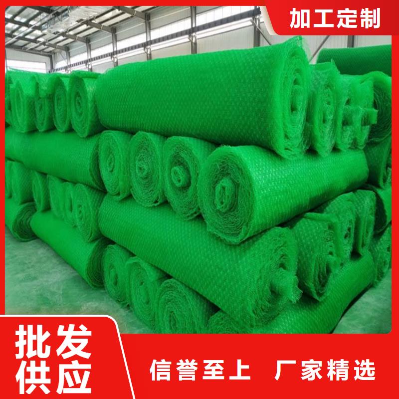 三维植被网软式透水管实力厂家直销种类多质量好