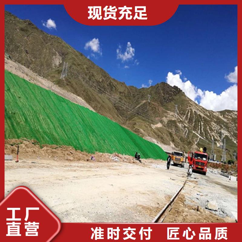 三维植被网,渗排水网垫海量货源产地采购
