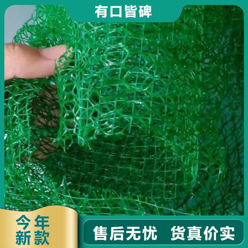 三维植被网沥青木丝板严格把关质量放心工厂现货供应