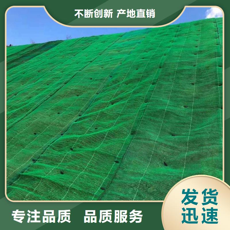 【三维植被网沥青木丝板质量可靠】全品类现货