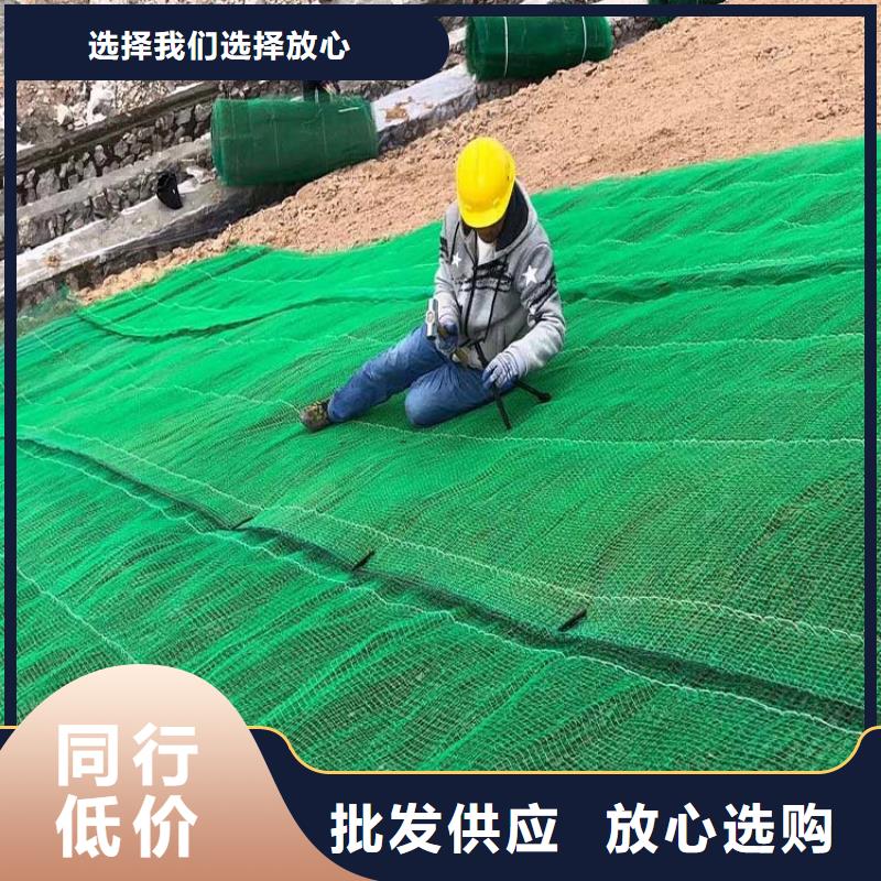 三维植被网止水铜片检验发货支持大批量采购