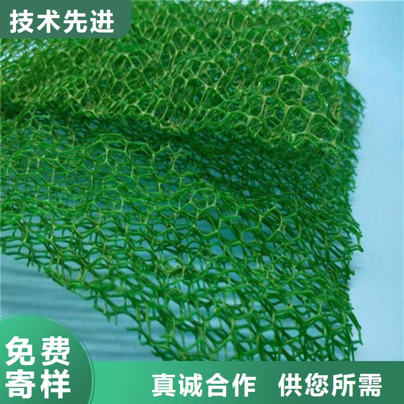 三维植被网土工席垫全品类现货同城公司