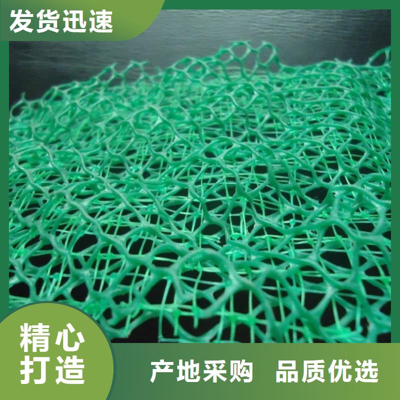 三维植被网聚丙烯网状纤维厂家技术完善当地供应商