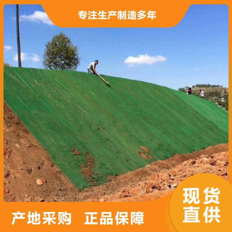 三维植被网剪切钢纤维厂家直营同城厂家