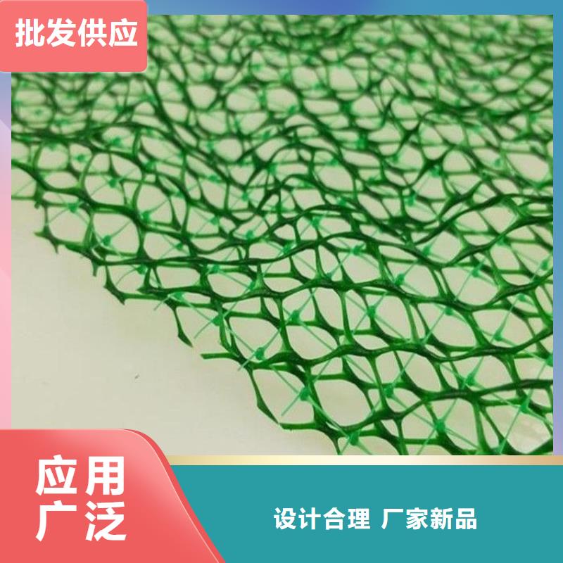 三维植被网土工格栅质检合格出厂本地供应商