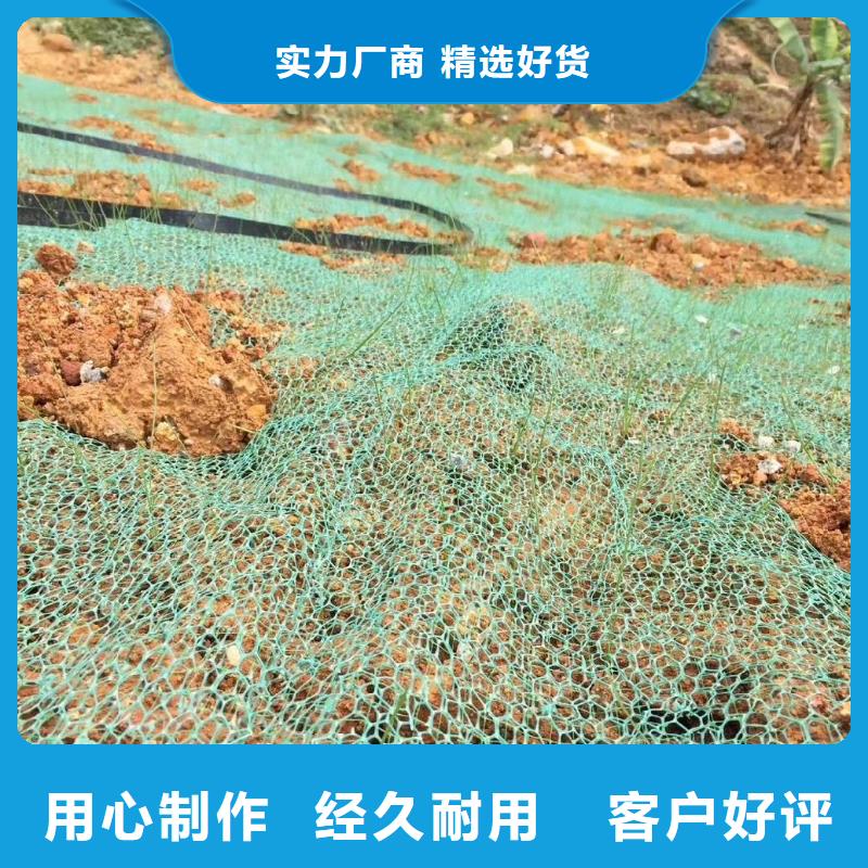 【三维植被网pp杜拉纤维加工定制】今日价格