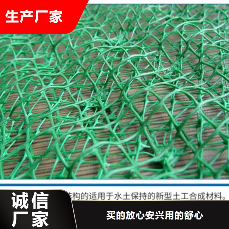三维植被网土工格栅值得买厂家直营