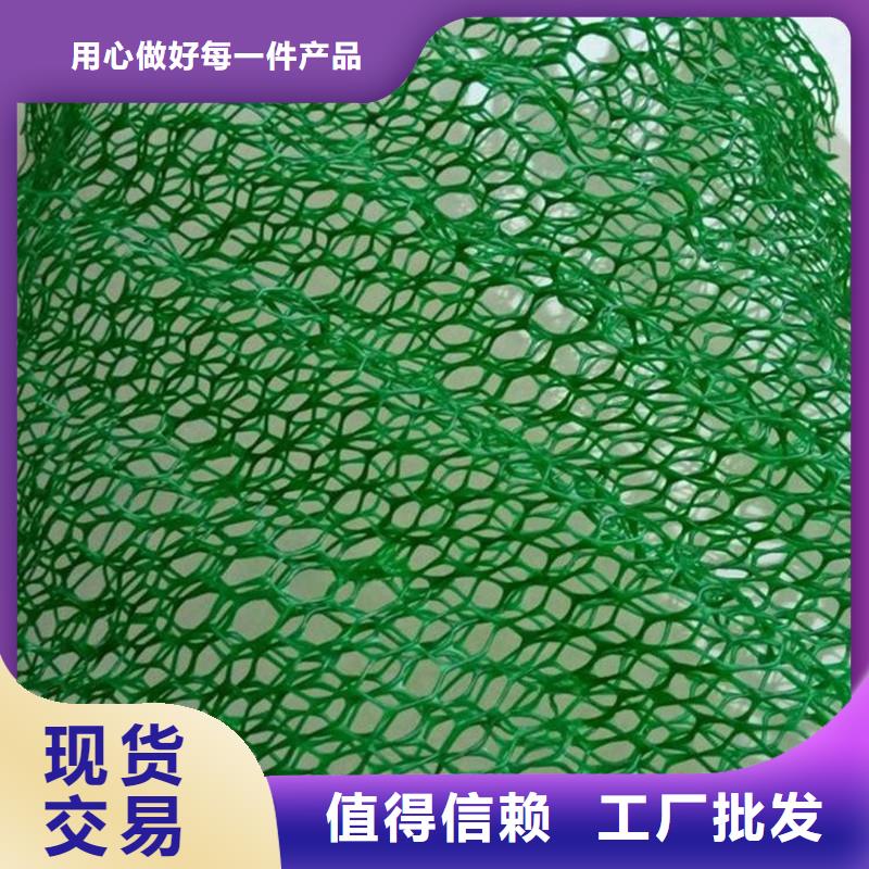 【三维植被网】仿钢塑钢纤维严谨工艺诚信为本