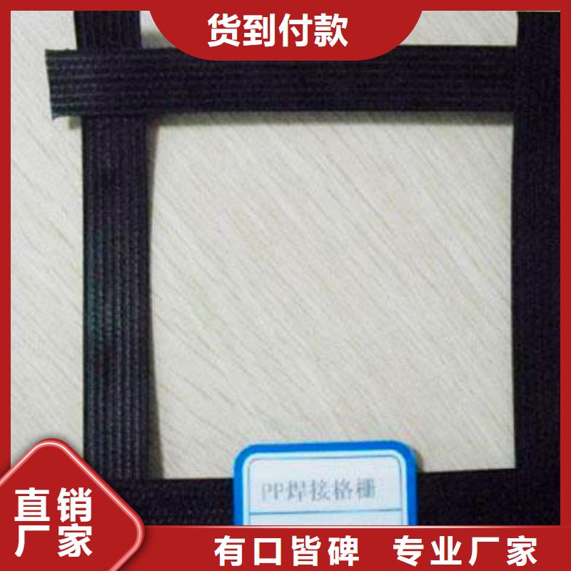 塑钢土工格栅厂家现货直供价格当地公司