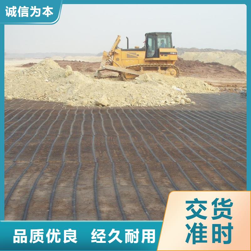 土工格栅渗排水网垫极速发货本地生产商