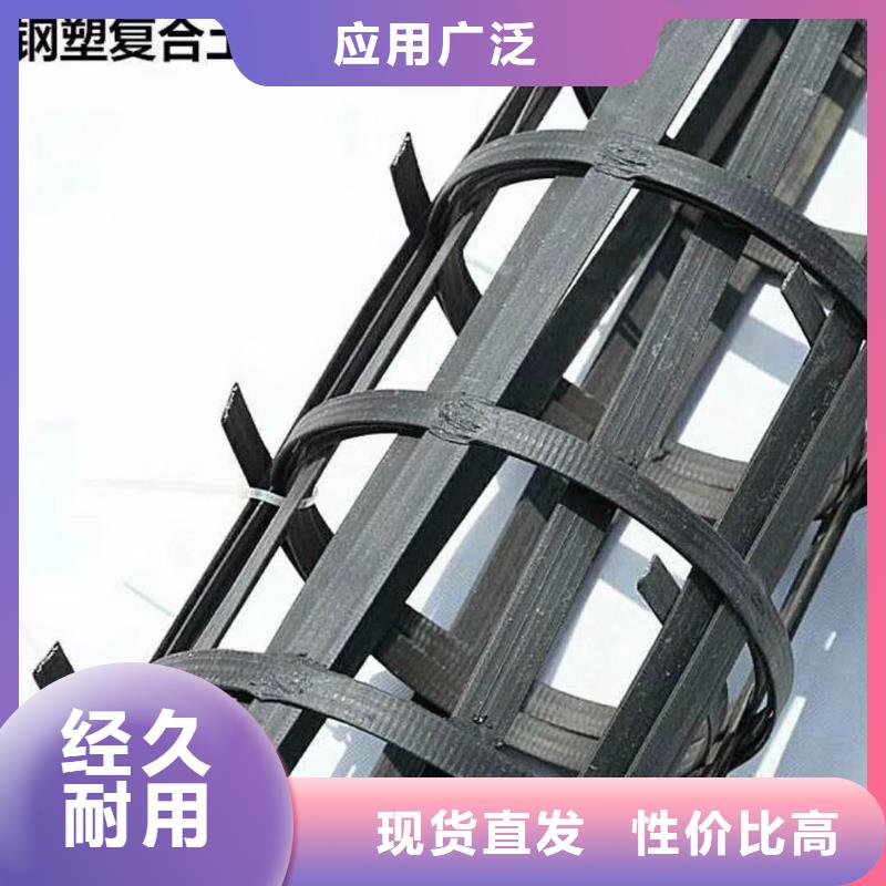 土工格栅【土工膜】专业的生产厂家品质值得信赖