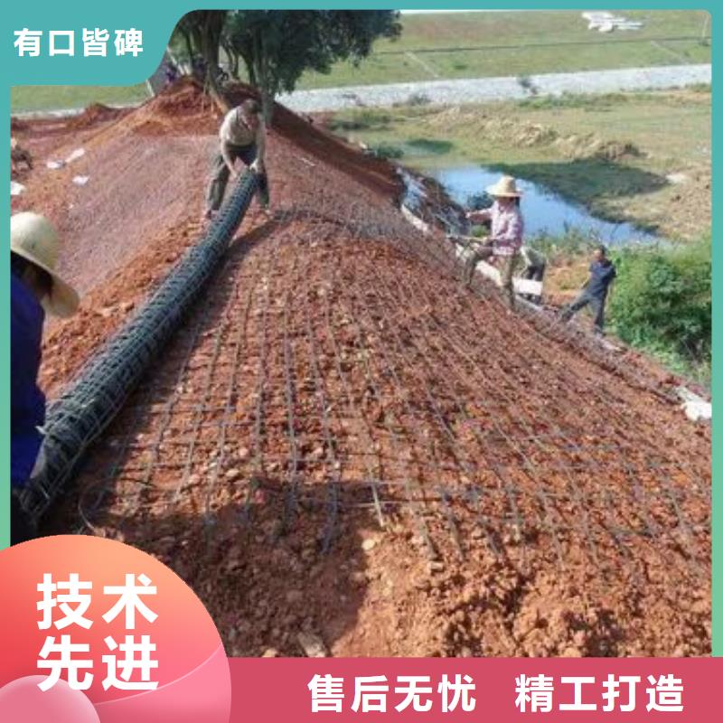 玻纤土工格栅质量保证价格当地品牌