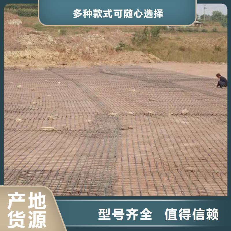 土工格栅规格型号品牌-报价_金鸿耀工程材料有限公司当地供应商