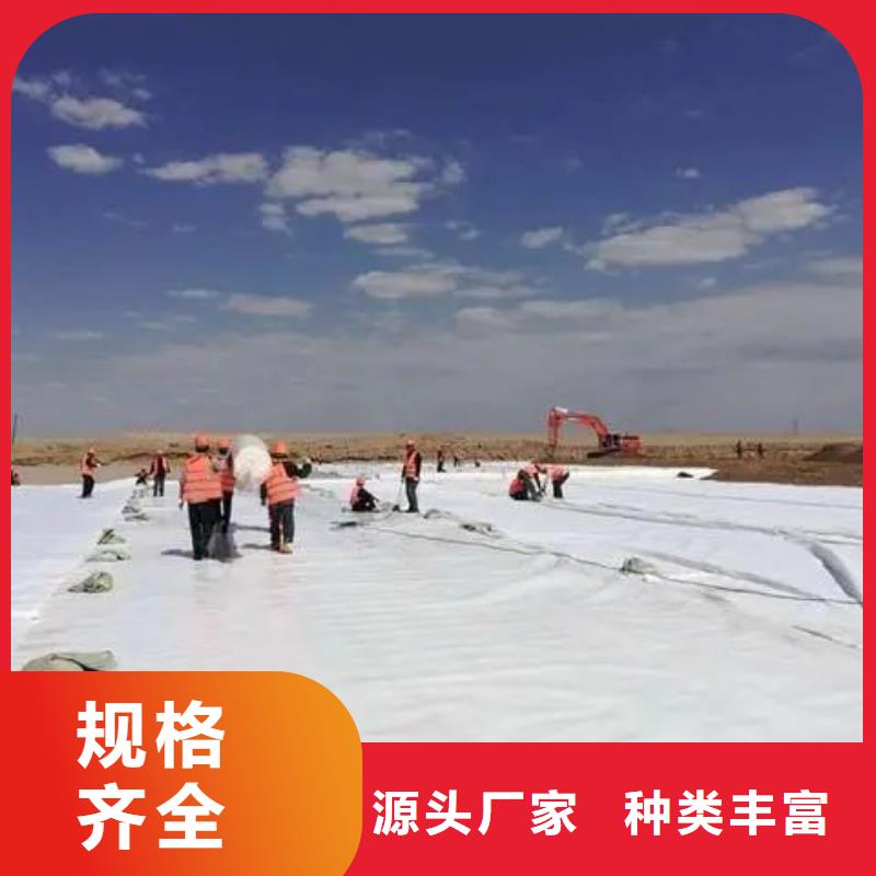 复合土工布-精选厂家生产厂家