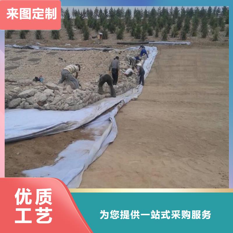 土工布铜止水品质卓越我们更专业
