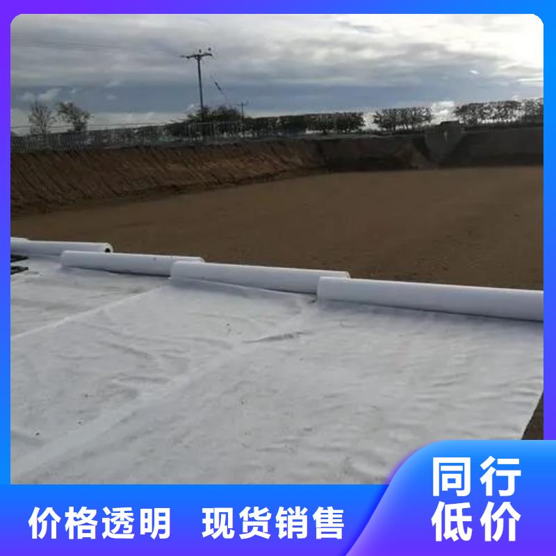 土工布-紫铜止水片一手货源源头厂家不断创新