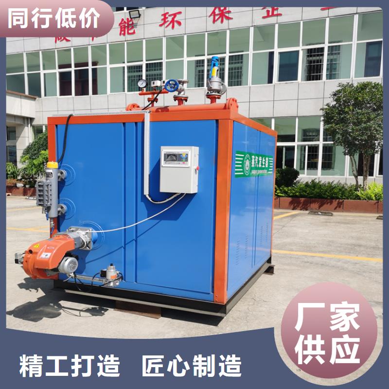 电蒸汽发生器厂家定制