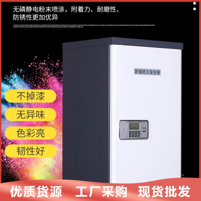 防磁柜档案柜厂家一对一为您服务本地品牌