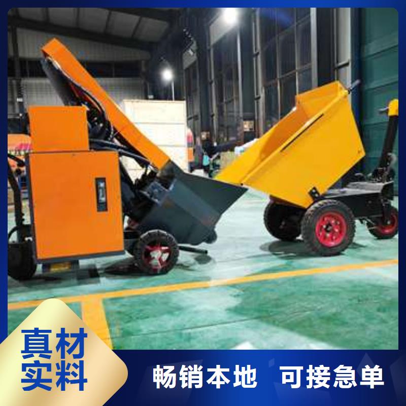 二次构造柱泵工艺层层把关本地经销商
