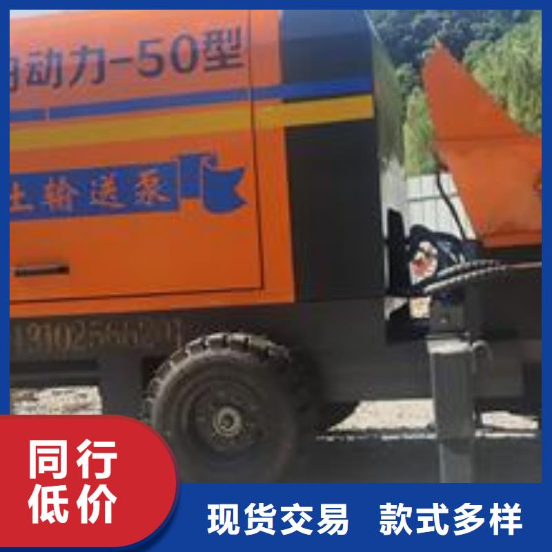 二次构造柱泵,小型混凝土路面灌缝机源头工厂质量无忧