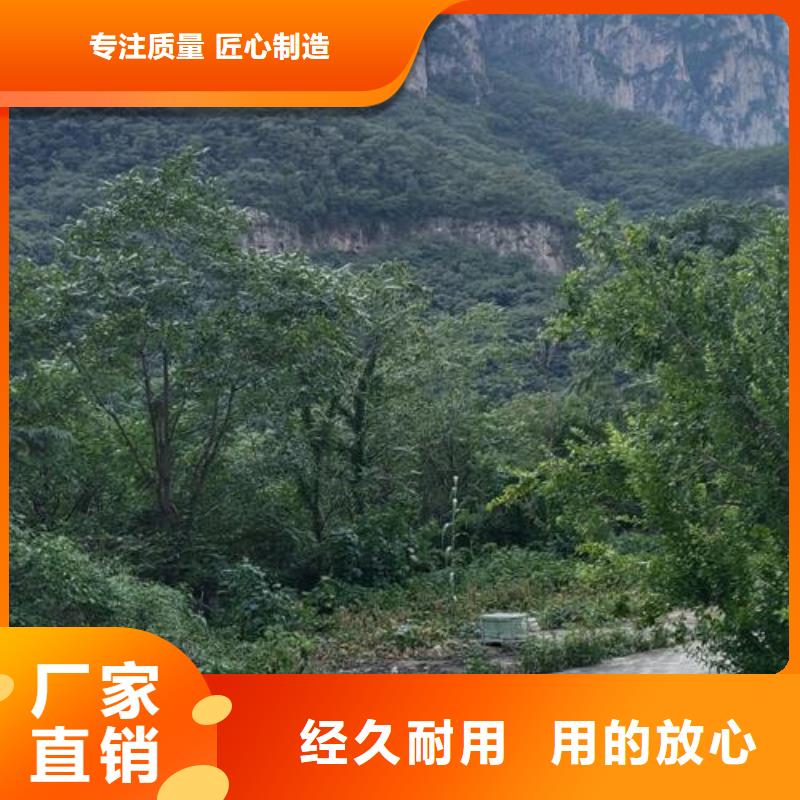 二次构造柱泵【微型混凝土泵】实时报价多种规格库存充足