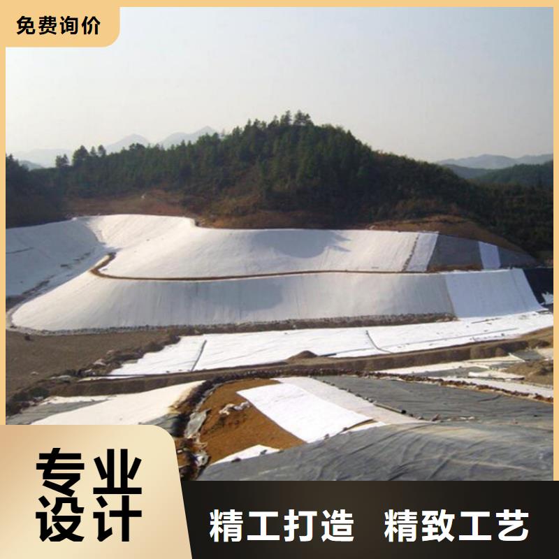土工膜排水板重信誉厂家源头厂家供应