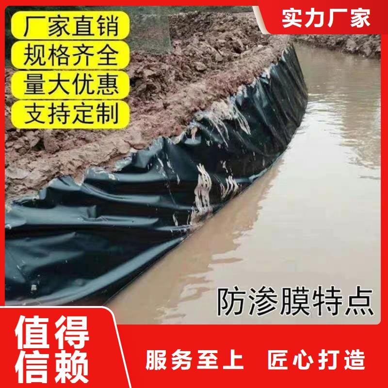 土工膜【玻纤土工格栅】货源稳定助您降低采购成本