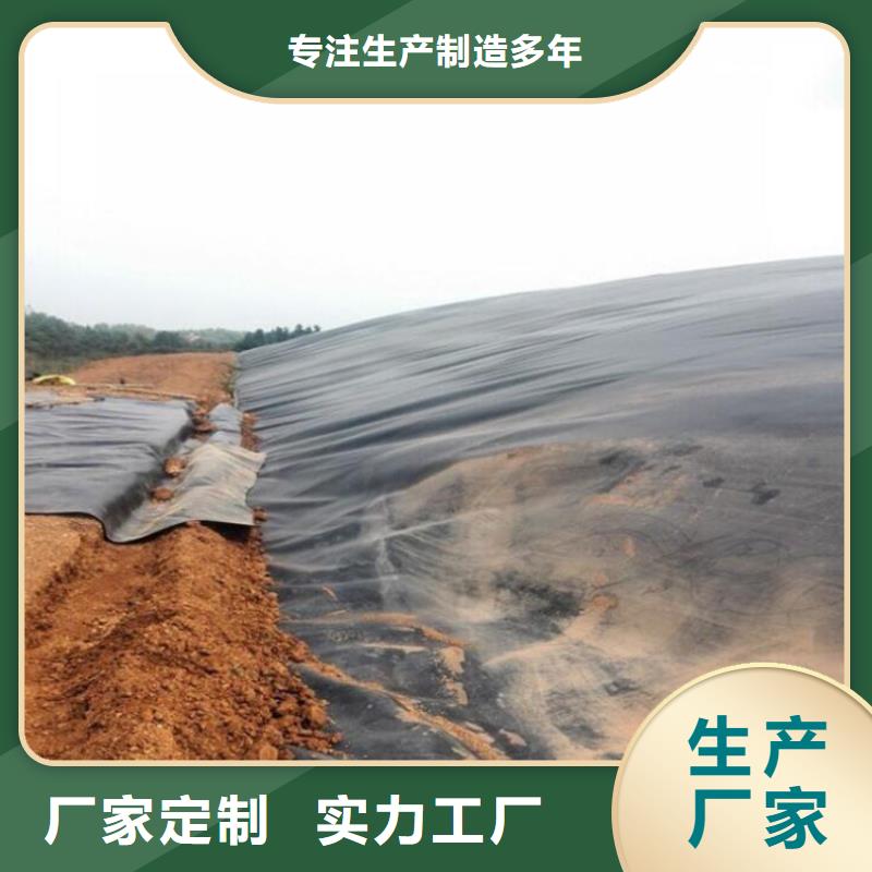 土工膜【土工格栅】我们更专业当地服务商