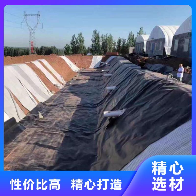 土工膜,钢塑土工格栅生产厂家一手货源