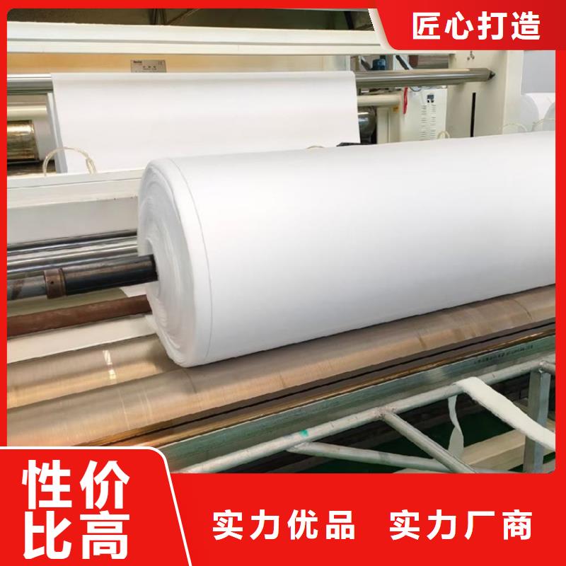 土工布双向土工格栅厂家十分靠谱匠心工艺