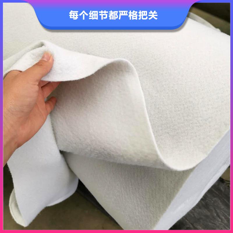 土工布_土工膜真材实料优良材质