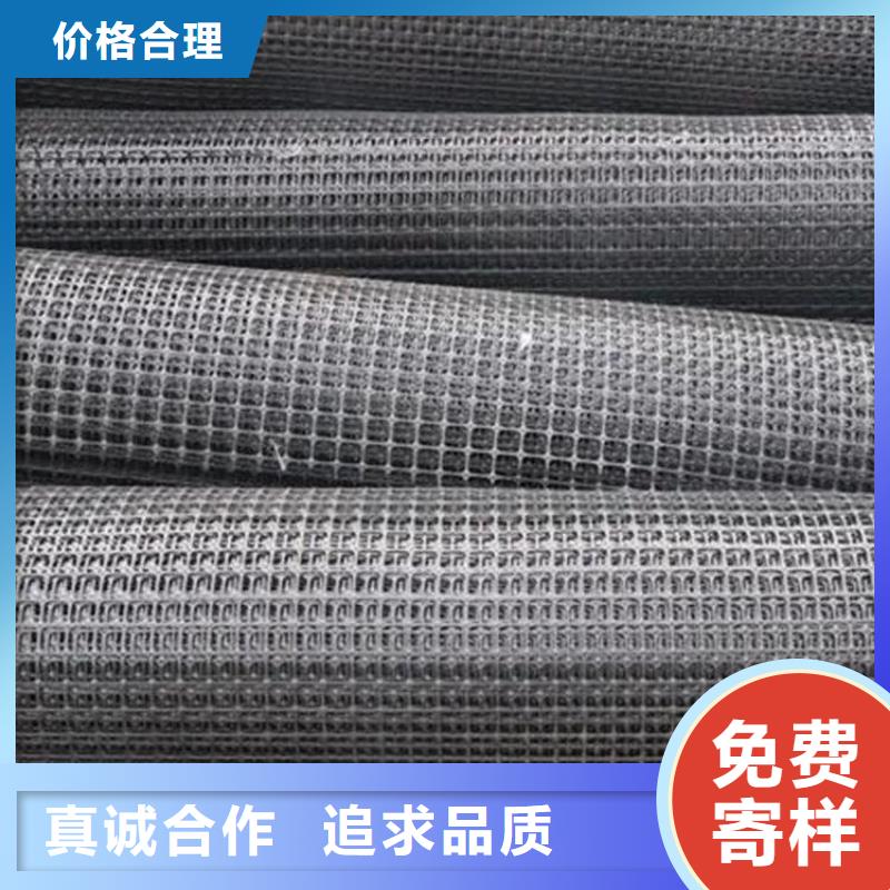 聚酯土工格栅厂家/多少钱一平N年大品牌