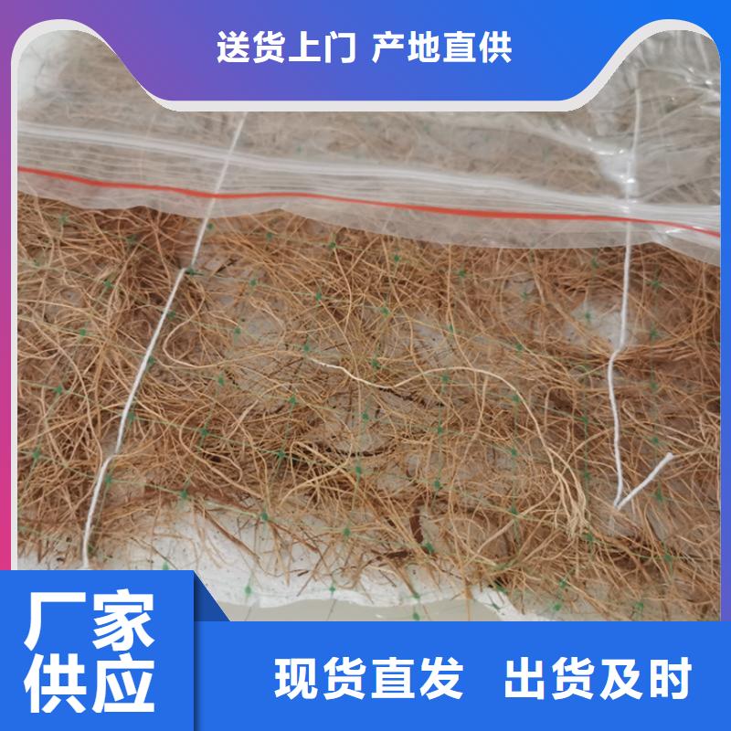 植生椰丝毯-绿化植被垫应用范围广泛
