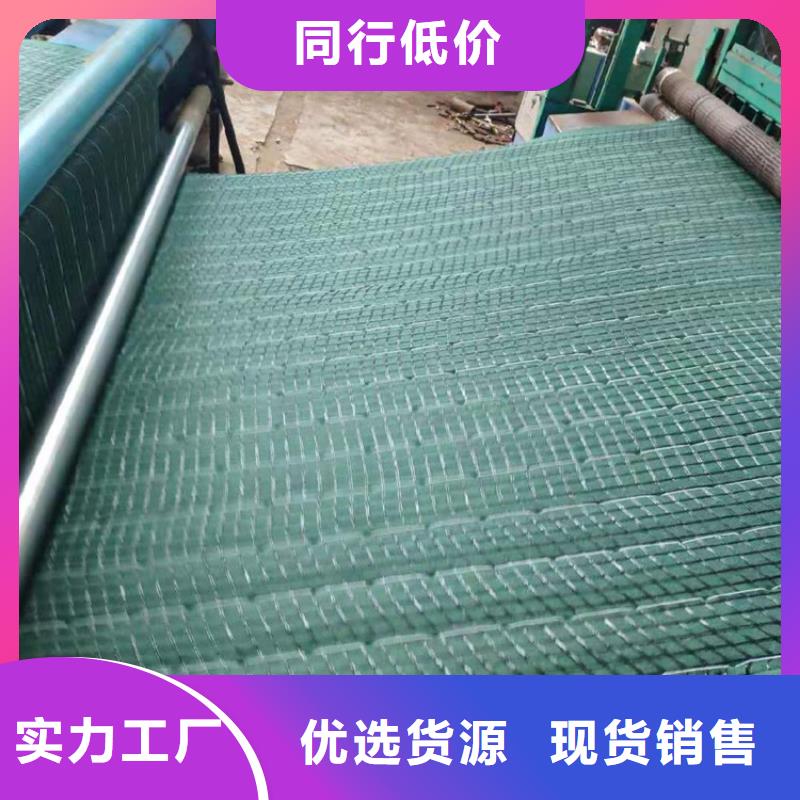 加筋抗冲生物毯-绿化生态毯-生态毯设计制造销售服务一体