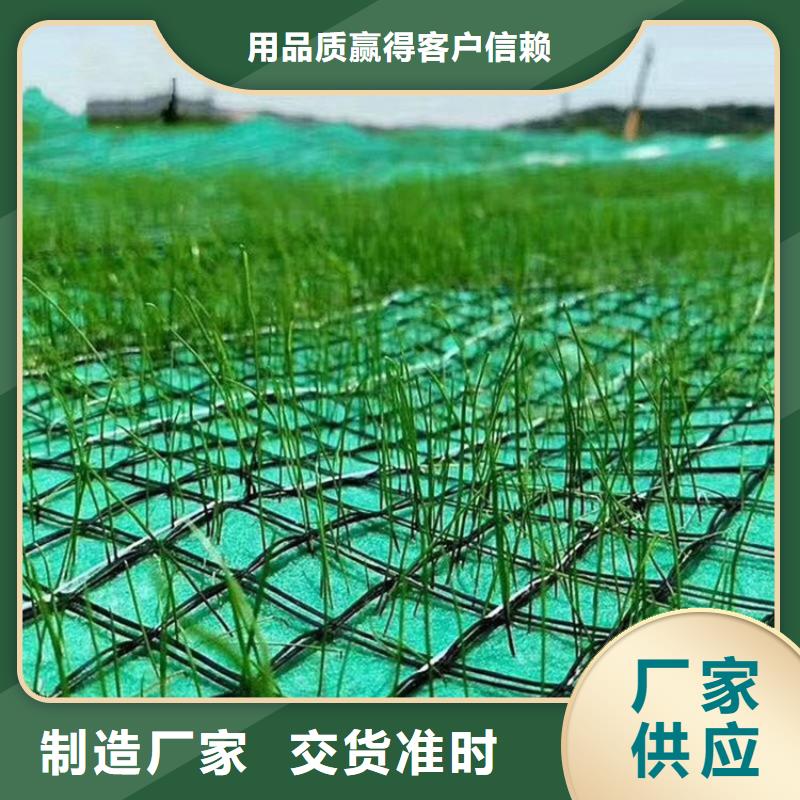 加筋抗冲生态毯生态环保草毯满足您多种采购需求