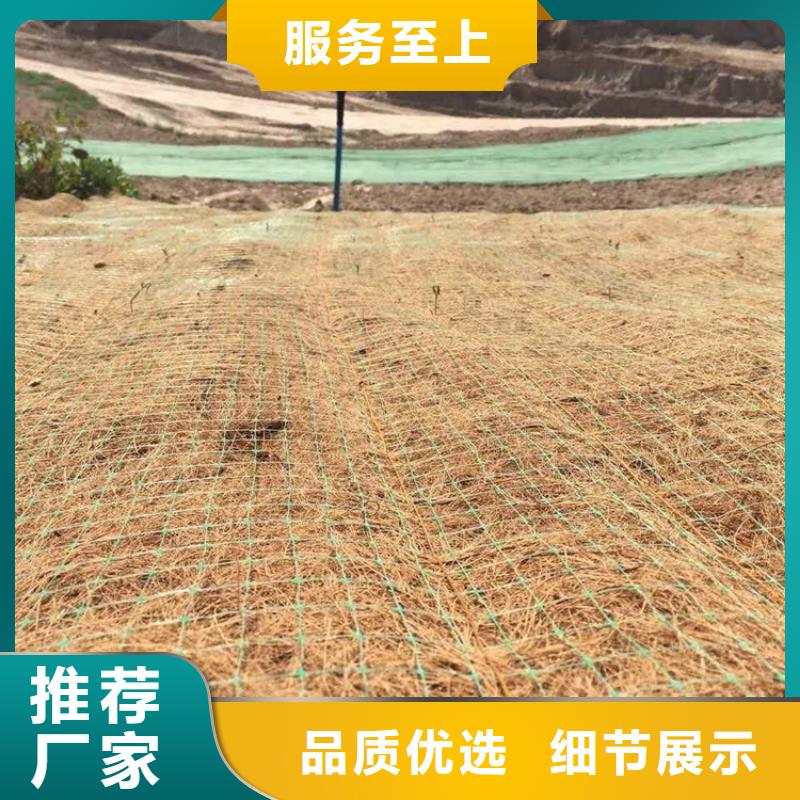 抗冲生态毯-抗冲植物毯-抗冲植生毯诚信经营