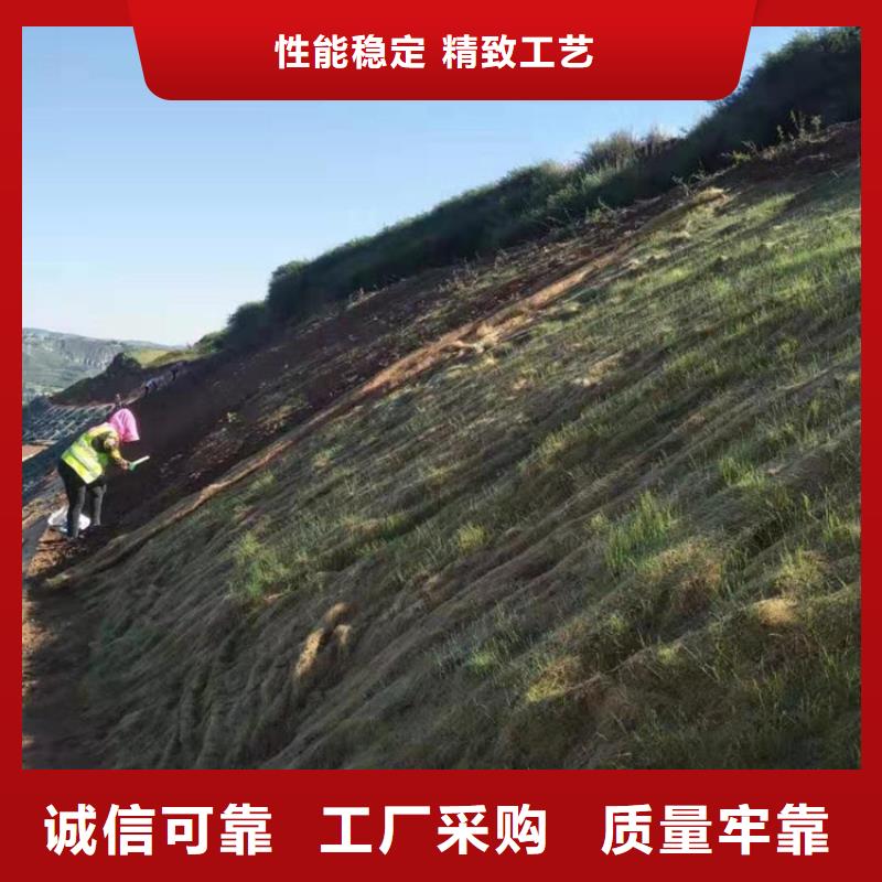 椰丝毯土工布检验发货同城品牌