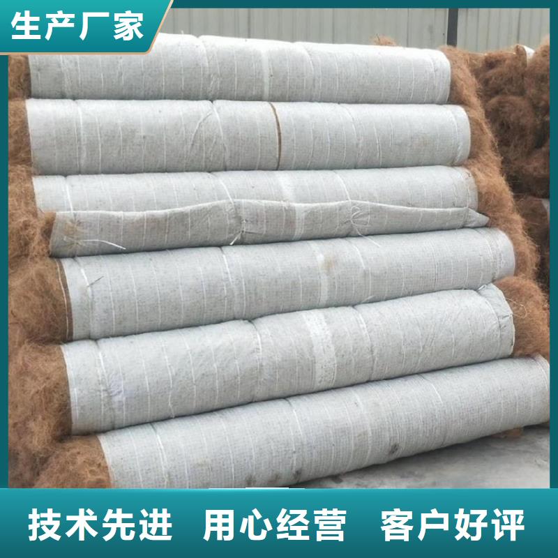 椰丝毯,【植草格】品质优良当地厂家