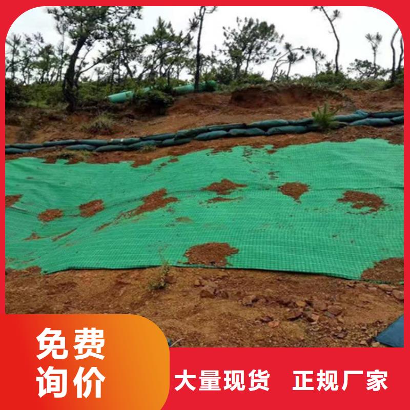 椰丝毯土工膜专业品质使用方法