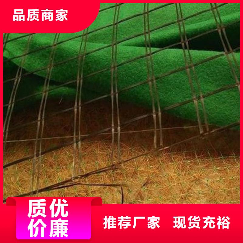 加筋抗冲生物毯施工指导商家直供