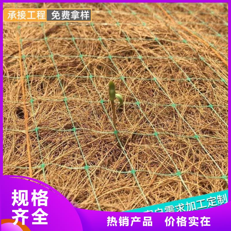 纤维草毯生态抗冲毯经验丰富品质可靠